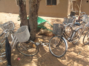 Biciclette e carriola. Le ruote dei contadini ghanesi