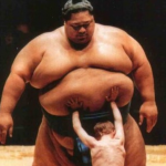 sumo small