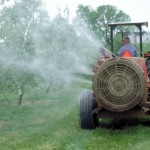 Pesticidi, Parlamento europeo contro la proroga dell'autorizzazione di nove sostanze attive