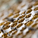 Fumo: esplode nell'Ue il mercato delle sigarette contraffatte