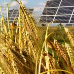 agricoltura efficienza energetica