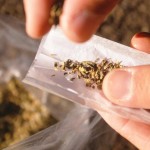 Nuove droghe, Parlamento Ue mette la “Black mamba” nella lista nera degli stupefacenti 