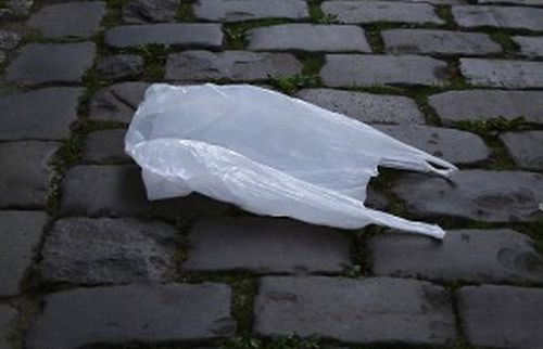 Buste di plastica, l'Italia si dimentica di notificare rispetto norme e  l'Ue minaccia sanzioni - Eunews