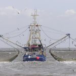 Il Regno Unito riduce i diritti di pesca delle flotte europee nelle sue acque