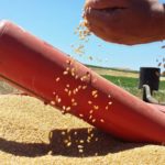 Parte il Dialogo Ministeriale Mediterraneo per trovare soluzioni alla crisi alimentare dovuta alla guerra