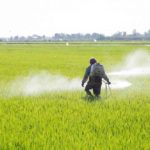 pesticidi-glifosato