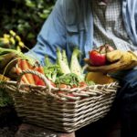 Covid19, Confagricoltura: il governo lanci un programma per sostenere l'eccellenza agroalimentare italiana