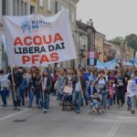 Maltese: L'Ue intervenga contro i danni delle Pfas alla salute, Veneto occidentale tutto contaminato