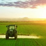 È arrivato il via libera della Commissione Ue al piano strategico italiano per la nuova Politica agricola comune