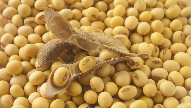 Ricette Con Semi Di Soia Freschi