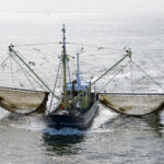 Fishing boat dragging a net throught the water of the Waddensea,