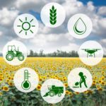 Un'agricoltura più sostenibile e intelligente con l'innovazione digitale