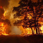 Incendi: in Ue bruciati 700mila ettari di boschi, mai così tanti dal 2006
