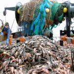 Pesca: accordo UE, Norvegia e Regno Unito sulle quote 2021 nel Mare del Nord