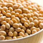 Soia OGM, in consultazione il rinnovo di variante per alimenti e mangimi