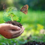 Biodiversità e conservazione specie, l'Unione Europea manca l'obiettivo per il 2020