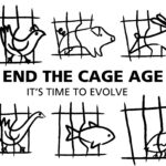 logo-end-of-cage-uk