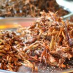 Dai grilli essiccati alle cavallette macinate, gli insetti al vaglio di Bruxelles per essere autorizzati come 'nuovi alimenti'