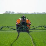 glyphosate