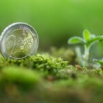 green bond