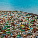 Dall'UE 1 miliardo di euro in impegni per la protezione degli oceani