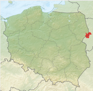 Foresta Polonia Bielorussia