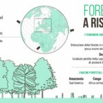 Deforestazione Foreste Ue