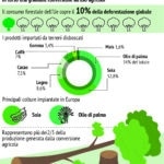 Deforestazione Foreste Ue