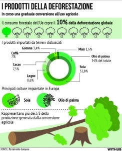 Deforestazione Foreste Ue