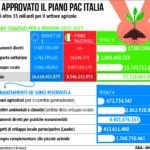 Piano strategico Pac Italia