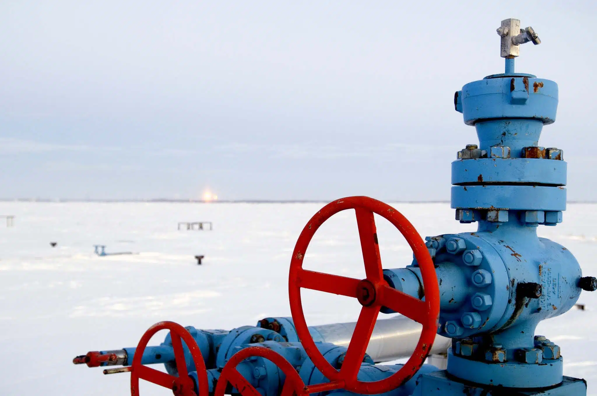 [foto: imagoeconomica]