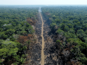 Deforestazione Brasile Amazzonia