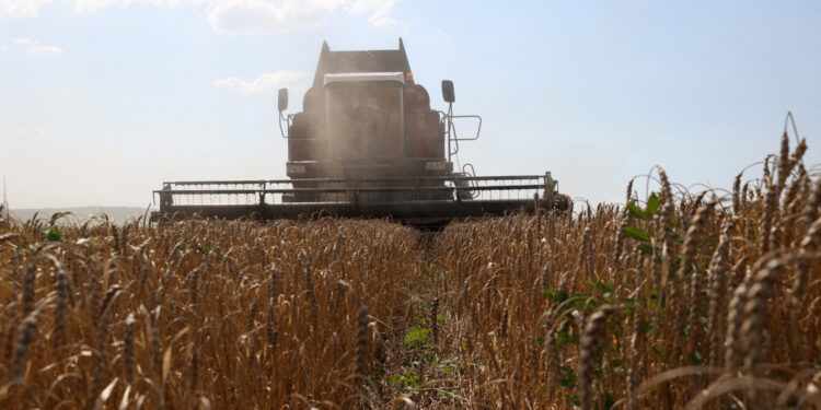 cereali russia grain