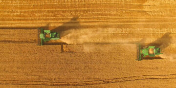 Ucraina Agricoltura Grano