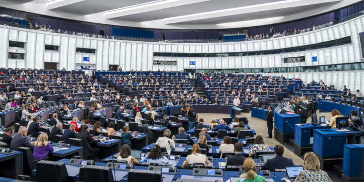 Parlamento Ue Plenaria organismo etico