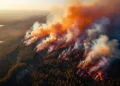 INCENDIO INCENDI  ROGO ROGHI FIAMME BOSCHI BOSCO FORESTA FORESTE GENERATA AI IA BOSCHIVO BOSCHIVI FORESTALE FORESTALI BRUCIATI INCENDIATI