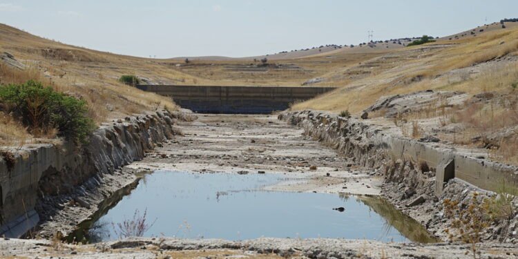 RISCALDAMENTO GLOBALE CAMBIAMENTO CLIMATICO GLOBAL WARMING SICCITA' GENERATE AI IA