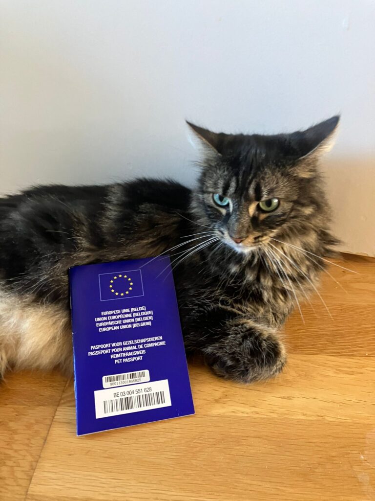 How to travel with pets with EU documents
