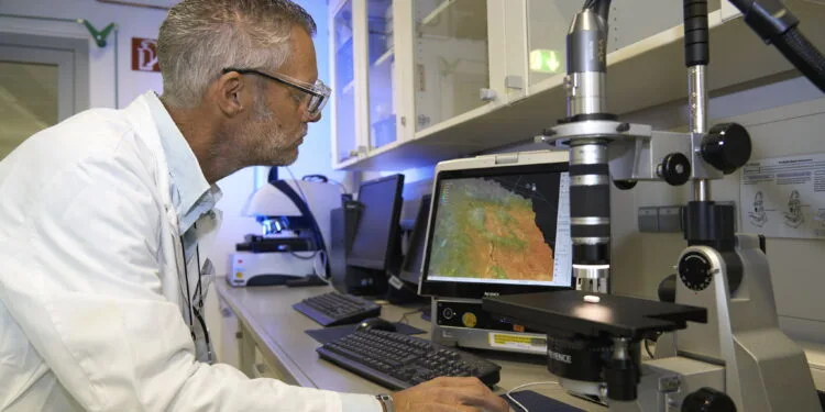 PFIZER
INDUSTRIA AZIENDA FARMACEUTICA TEST OTTICO SUPERFICIALE RICERCATORE LABORATORIO CONTROLLO QUALITA' COMPRESSE PAXLOVID COMPRESSE ORALI COVID PI
MEDICINE MEDICINA
PASTICCHE PASTICCA
PASTIGLIE PASTIGLIA
MEDICINALI MEDICINALE
CONTRO
OPERAIO
