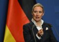 Alice Weidel AFD