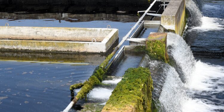 Depuratore di acque reflue di Noseido [Foto: Sergio Oliverio/imagoeconomica]
