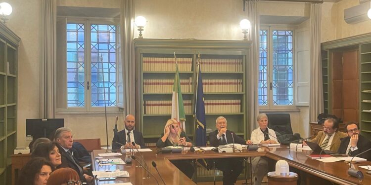 Il primo incontro dell’Interest Group sulla Promozione della Salute del Parlamento Europeo. (Roma, Senato, 25 febbraio 2025, foto Ufficio Stampa FdI)