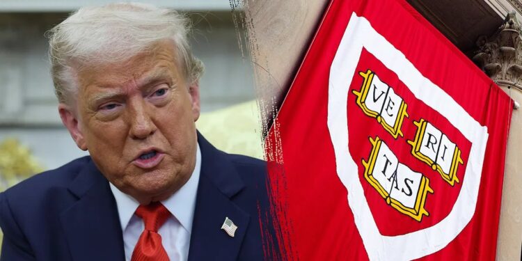 Il governo americano vieta l'iscrizione degli studenti stranieri all'università di Harvard (Foto: