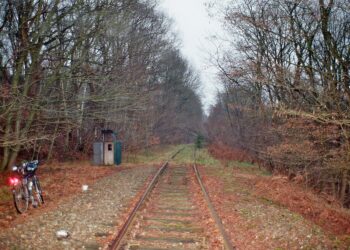 Un tratto della linea ferroviaria 'Reno d'acciaio' [foto: Markus Schweiss/Wikimedia Commons]