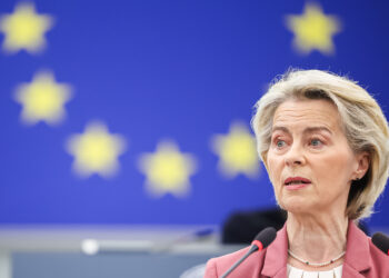 von der leyen euco plenaria