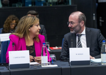 plenaria garcia perez weber