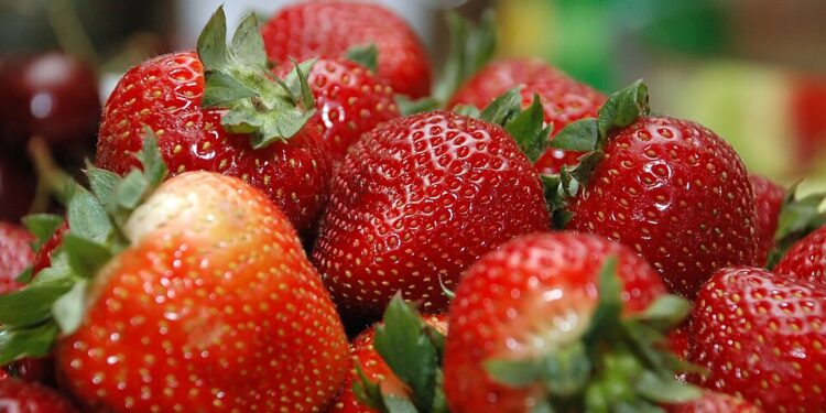 [foto: Jon 'ShakataGaNai' Davis/Wikimedia Commons]