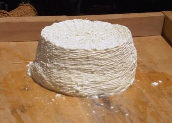 [foto: it:Lasagnolo9/Wikimedia Commons]