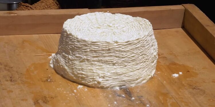 [foto: it:Lasagnolo9/Wikimedia Commons]