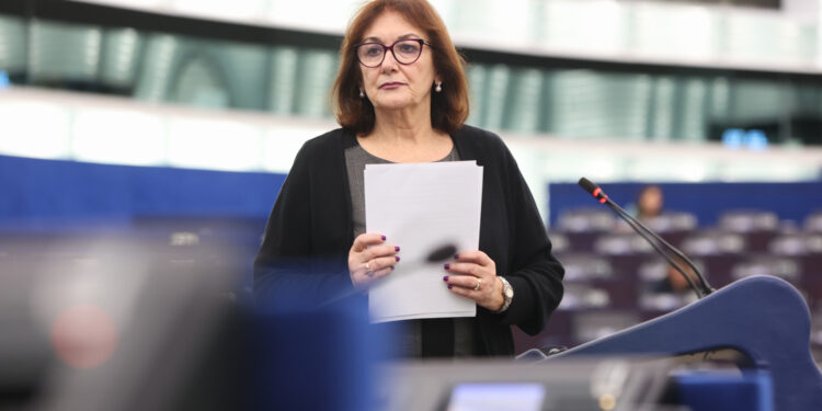 EP Plenary Session - Situation in Northeast Syria, the violence against civilians and the need to maintain a sustainable ceasefire